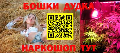 ALPHA PVP Кингисепп